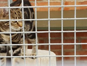 Click Here To View This Image