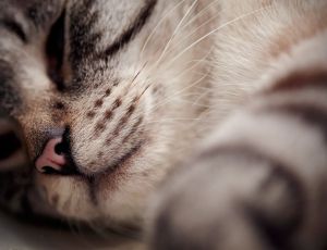 Click Here To View This Image