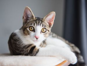 Click Here To View This Image